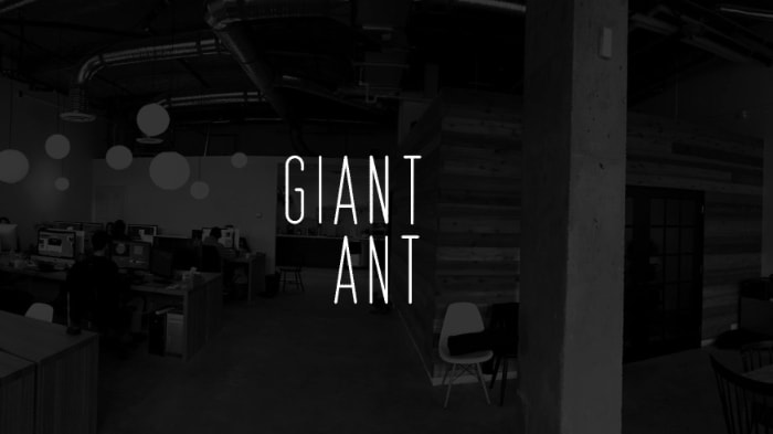 GiantAnt